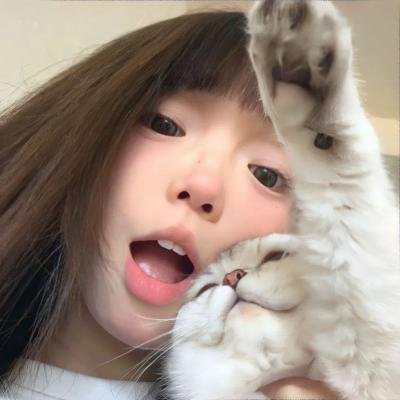 万紫千红花弄蝶